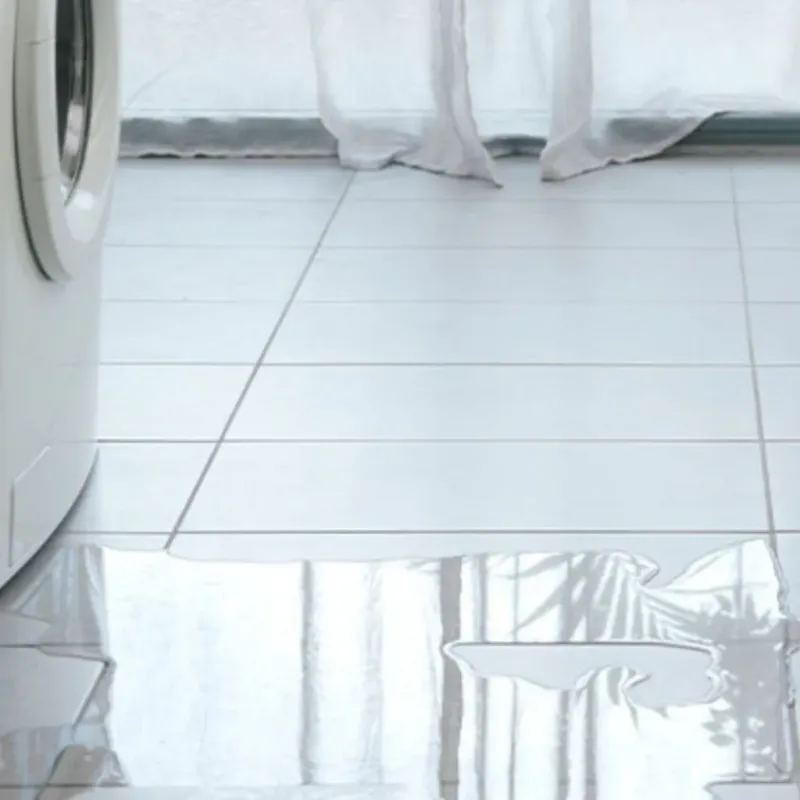 Appliance Leak Cleanup in South Vacherie, LA